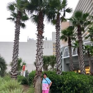 Meet your Posher, Sandy